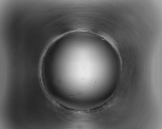 X0000088891104200706151825