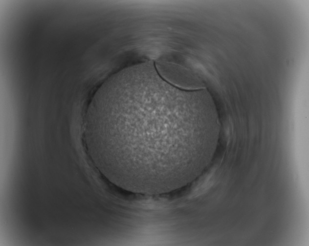 X0000088891105200706151824