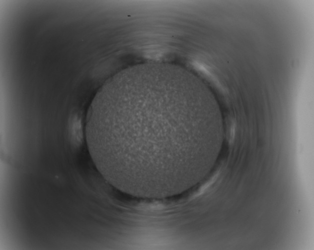 X0000088891106200706151824