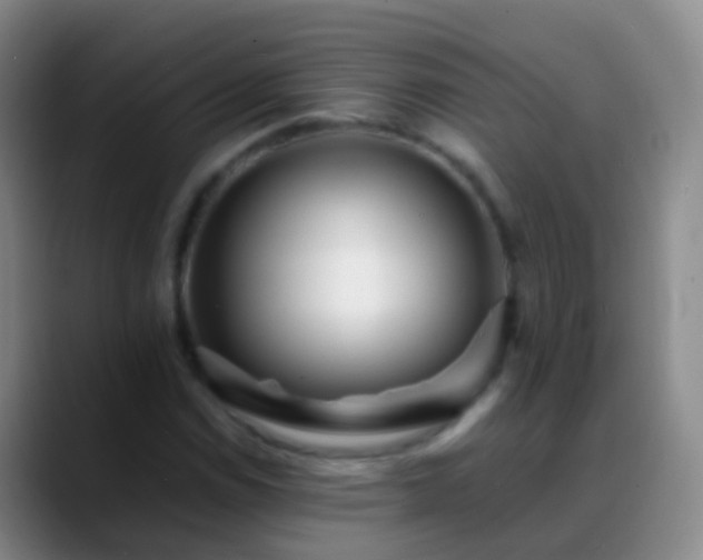 X0000088891114200706151824