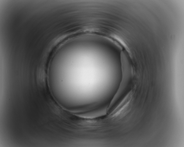 X0000088891115200706151825