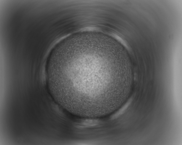 X0000088891117200706151825