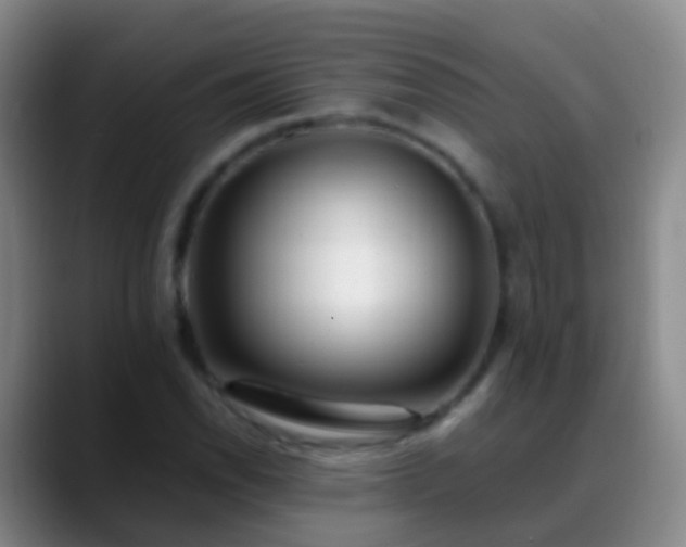 X0000088891118200706151825