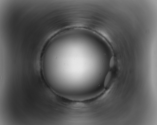 X0000088891119200706151825