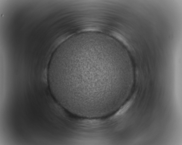 X0000088891121200706151825