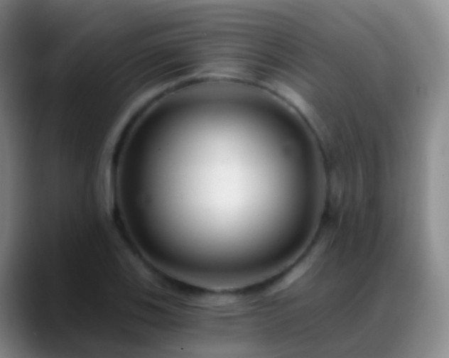 X0000088891123200706151825