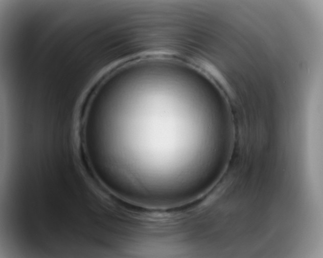 X0000088891124200706151825