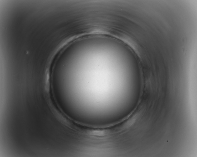 X0000088891126200706151825