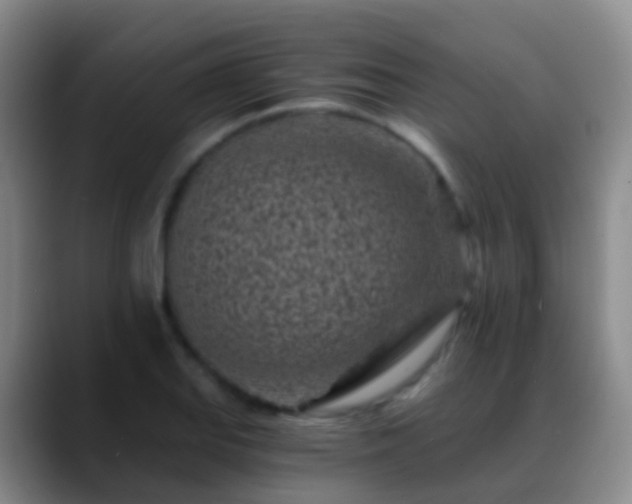 X0000088891127200706151825