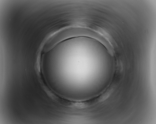 X0000088891128200706151825