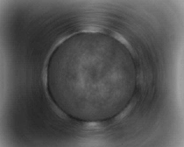 X0000088891130200706151825