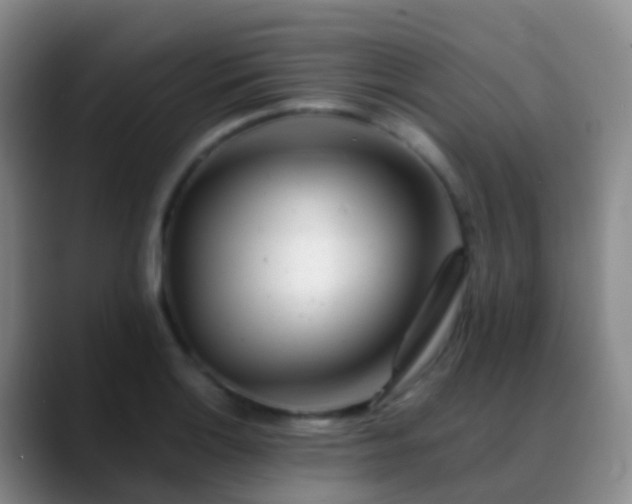 X0000088891132200706151825