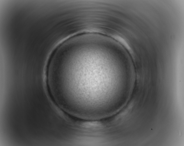 X0000088891133200706151825