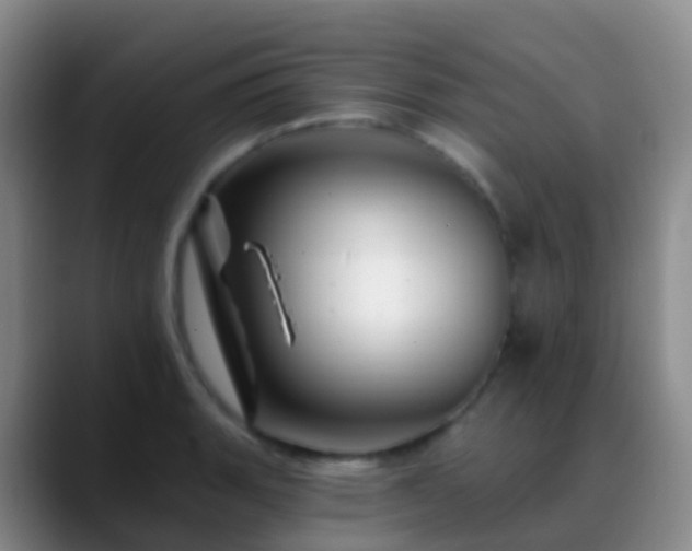 X0000088891135200706151825