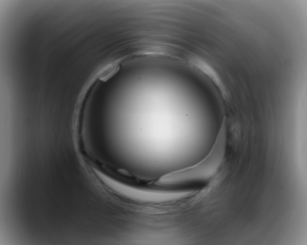 X0000088891138200706151825