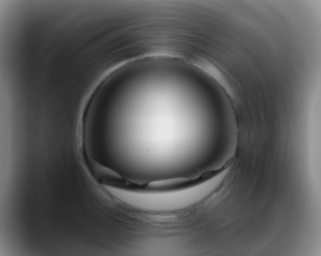 X0000088891140200706151825