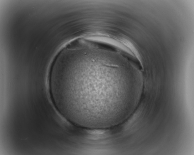 X0000088891141200706151825