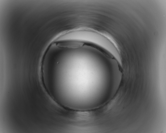 X0000088891142200706151825