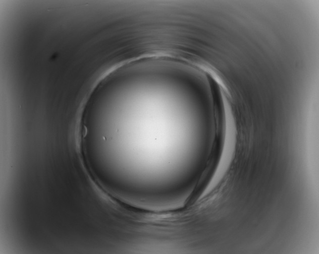 X0000088891143200706151825