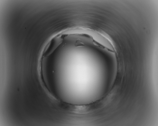 X0000088891144200706151825