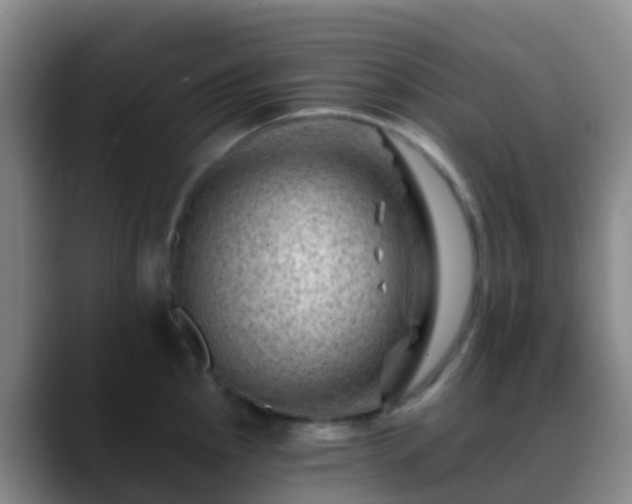 X0000088891145200706151825