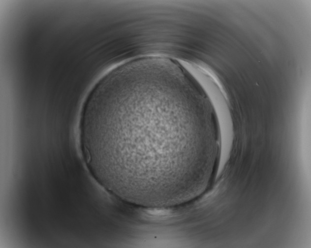 X0000088891147200706151825