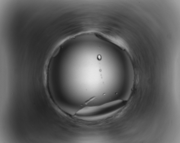 X0000088891151200706151825