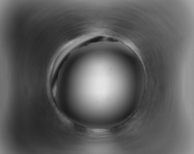 X0000088891152200706151825