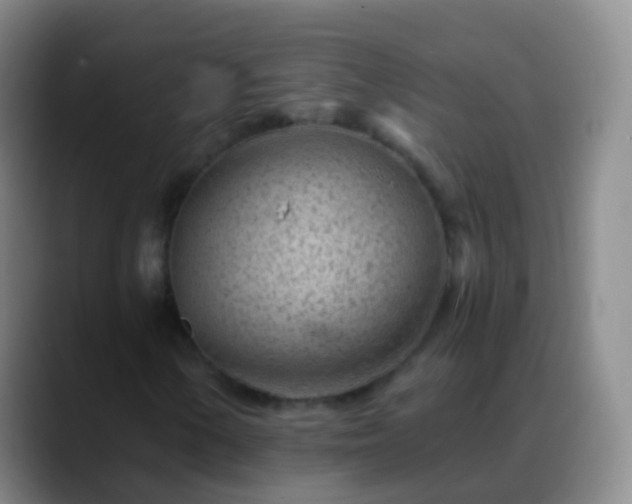 X0000088891154200706151824