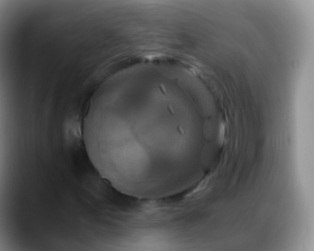 X0000088891155200706151824