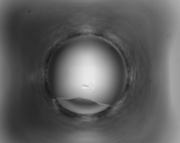 X0000088891157200706151824