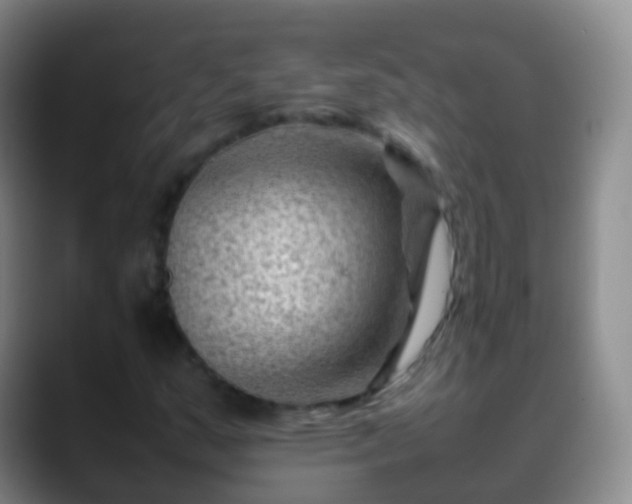 X0000088891159200706151824