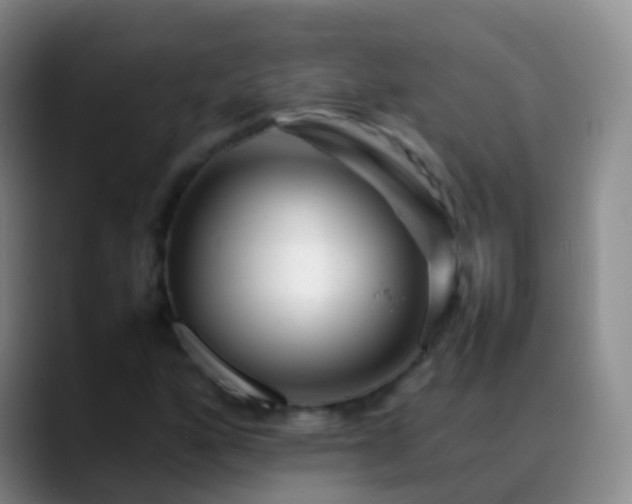 X0000088891160200706151824