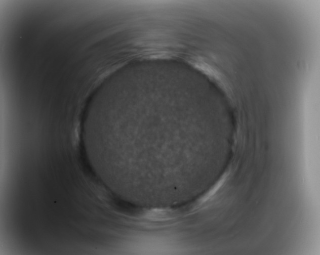 X0000088891161200706151824