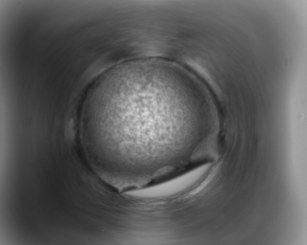 X0000088891163200706151824