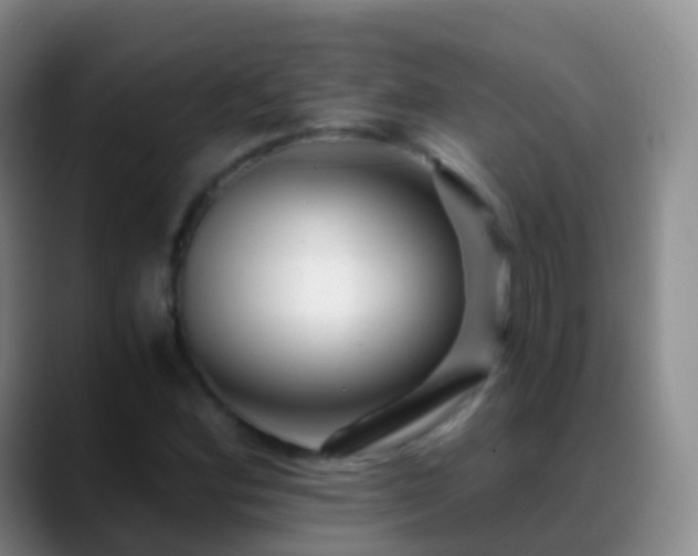 X0000088891164200706151824