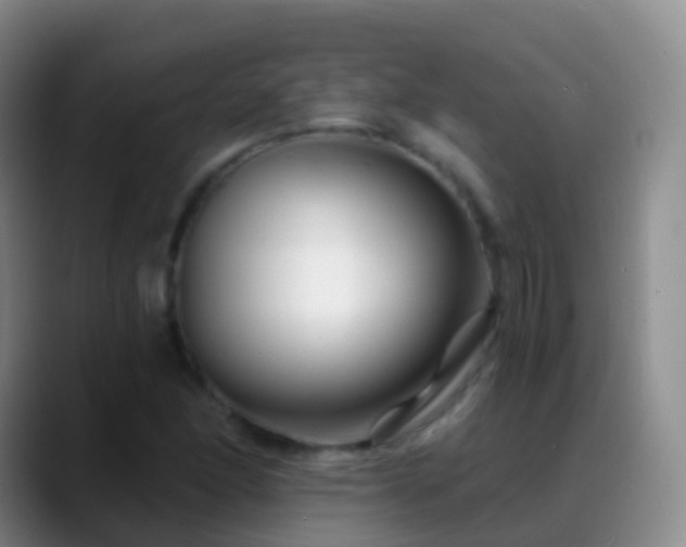 X0000088891166200706151824