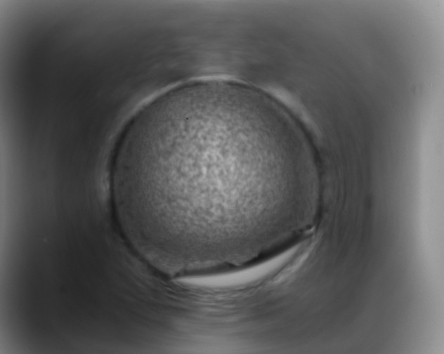 X0000088891167200706151824