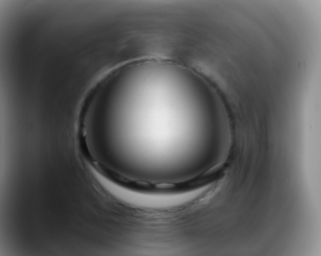 X0000088891168200706151824