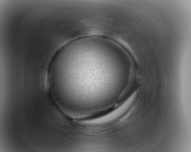 X0000088891171200706151824