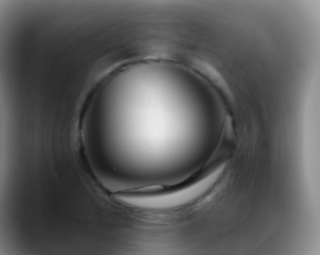 X0000088891172200706151824