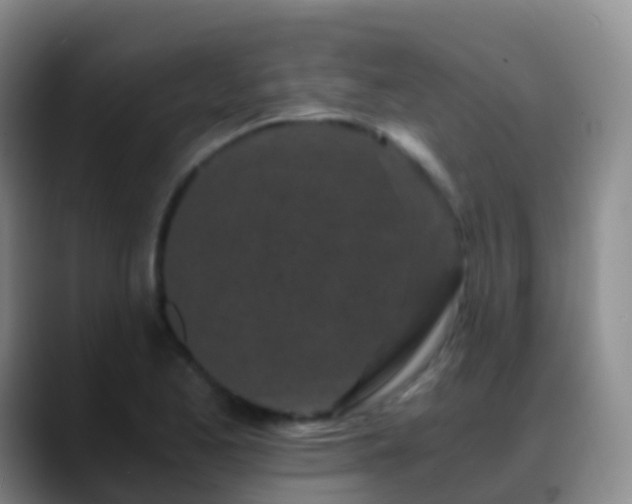 X0000088891173200706151824