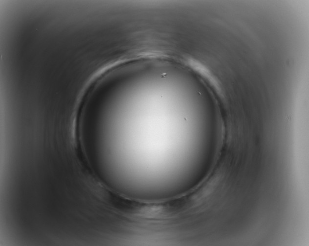 X0000088891174200706151824