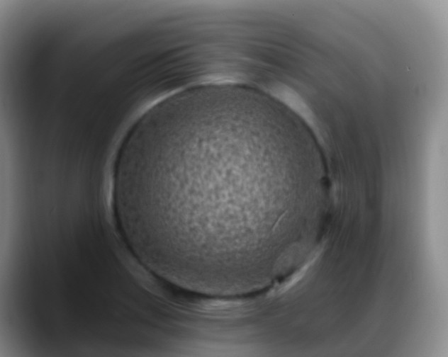 X0000088891179200706151824