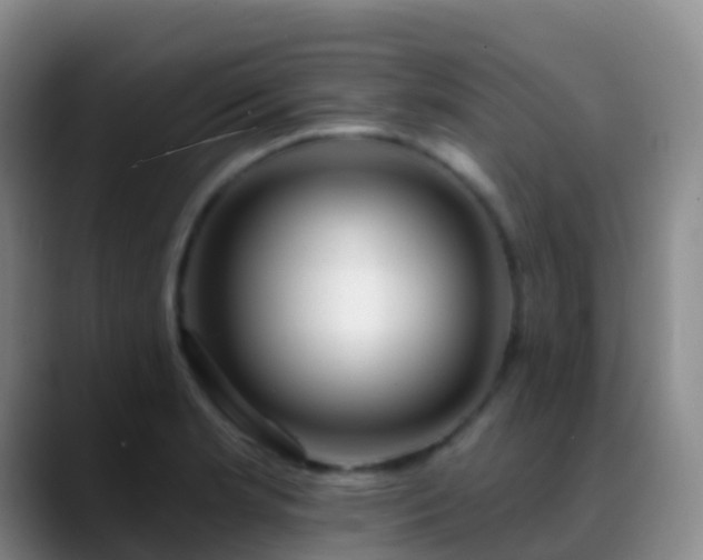 X0000088891181200706151824