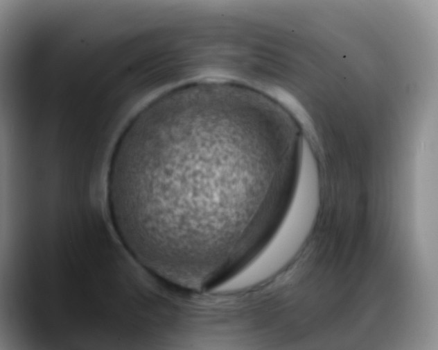 X0000088891183200706151824