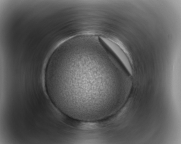 X0000088891187200706151824