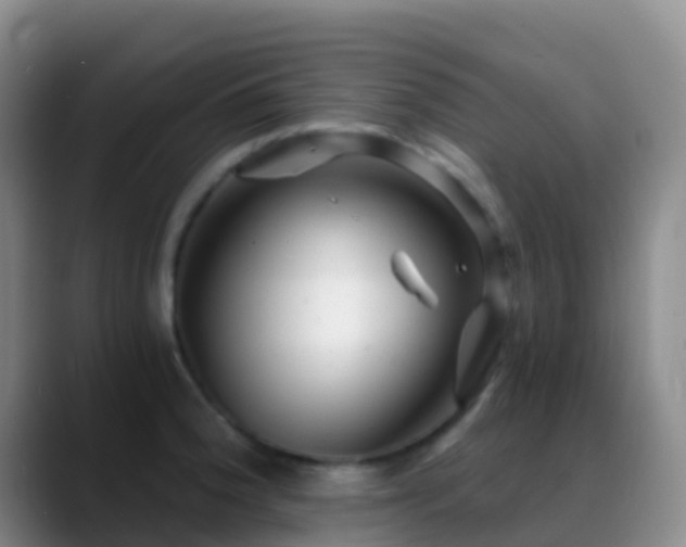 X0000088891188200706151824