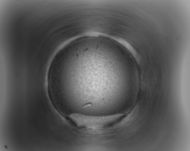 X0000088891191200706151824