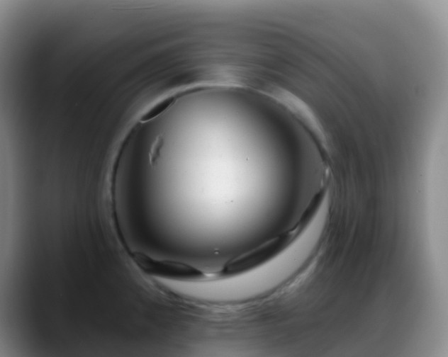 X0000088891192200706151824